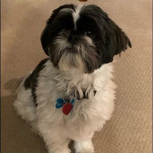 Meet your Posher, Mel